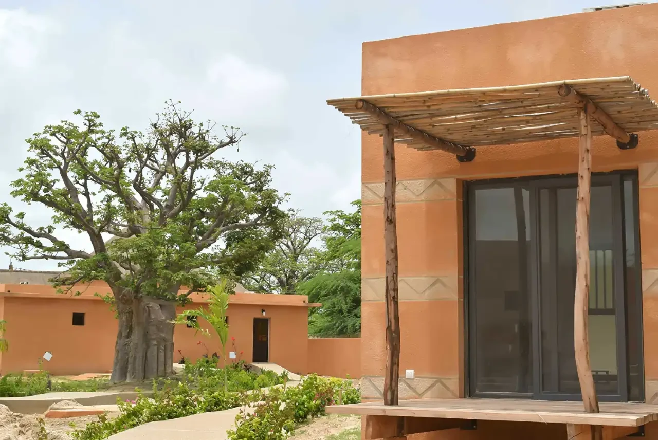 Photo 4 — King Baobab Lodge