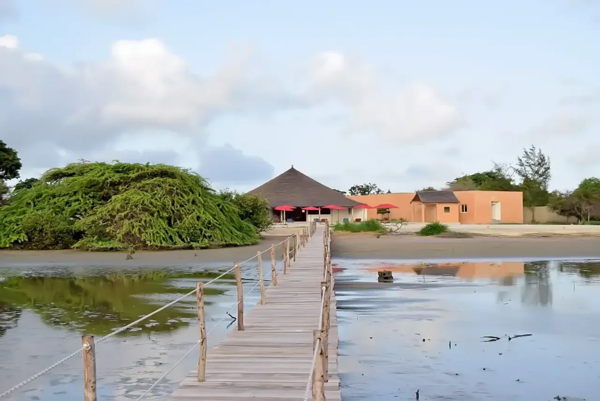 Photo 1 — King Baobab Lodge